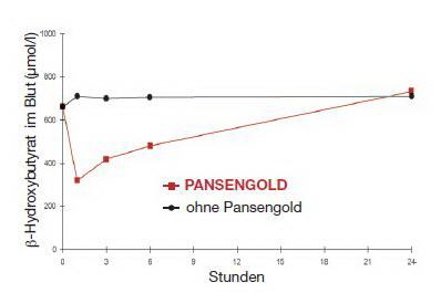 PANSENGOLD senkt den Gehalt an Ketonkörpern.