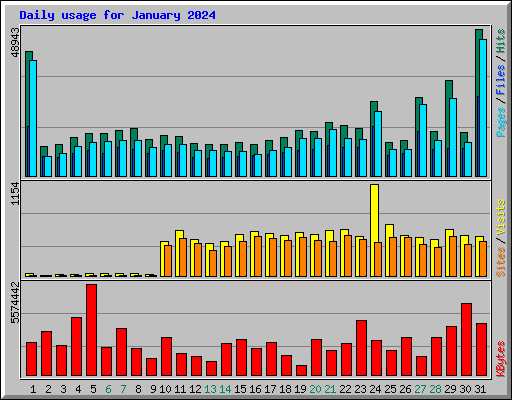 Daily usage for January 2024