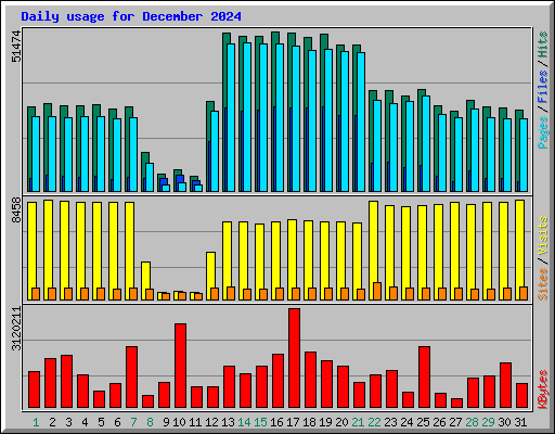 Daily usage for December 2024