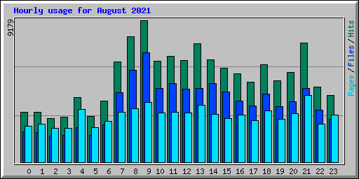 Hourly usage for August 2021