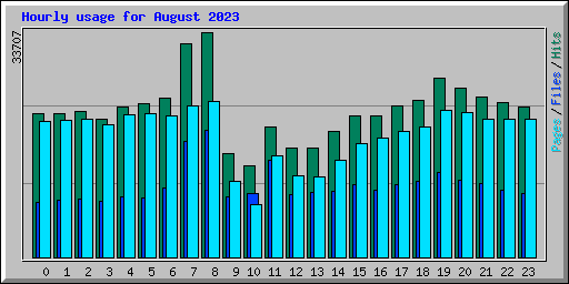 Hourly usage for August 2023