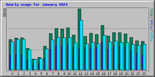 Hourly usage for January 2024