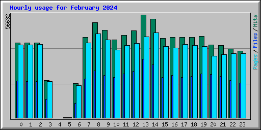 Hourly usage for February 2024