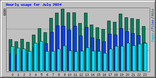 Hourly usage for July 2024