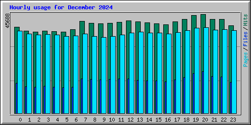 Hourly usage for December 2024