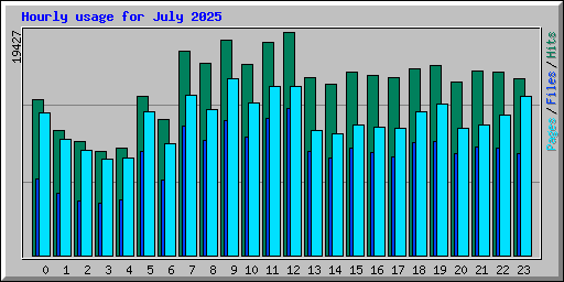 Hourly usage for July 2025