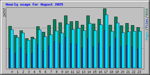 Hourly usage for August 2025