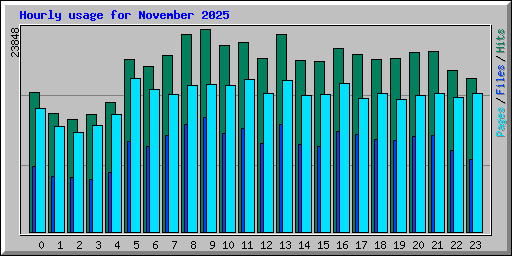 Hourly usage for November 2025