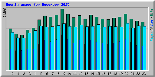 Hourly usage for December 2025