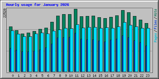 Hourly usage for January 2026