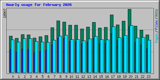 Hourly usage for February 2026