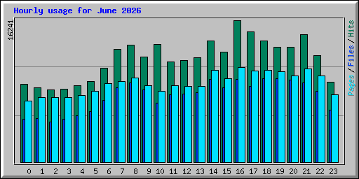Hourly usage for June 2026