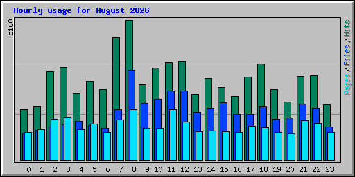 Hourly usage for August 2026
